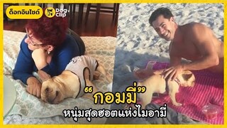 น้องหมาสุดฮอตแห่งไมอามี่ "กอมมี่"  | Dog's Clip