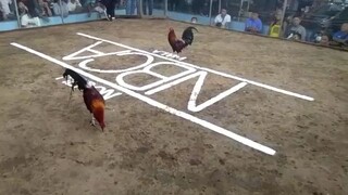 mayahin 2xwin