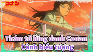 [Thám tử lừng danh Conan |Phim dài  9]Cảnh biểu tượng