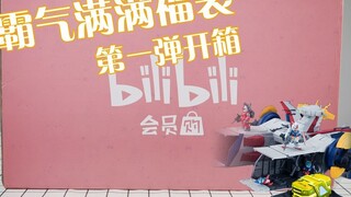 【阿伦模玩】B站高达霸气满满福袋第一弹开箱 我开出了图片里没展示的模型？