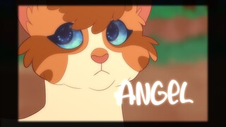 ANGEL - Brightpaw/Swiftpaw-Warriors PMV