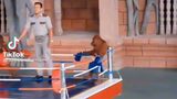 Monkey Rematch 😂