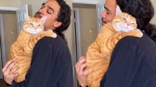 Cats Tell You, They Love You So Much 😘 Cat Show Love To Their Human Video Is Too Cute