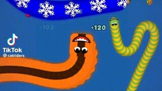 (TikTok Worms zone) #3 | Pro
