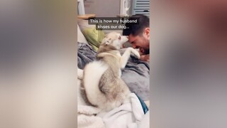 I want to be my dog. dog loveaffair  imabigdeal dogdad