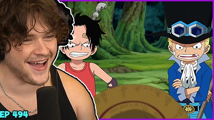 Sabo! Luffy's second brother revealed! (one piece)