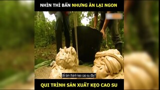 Quy trình làm kẹo cao su, xem xong bạn dám ăn không | LT Review