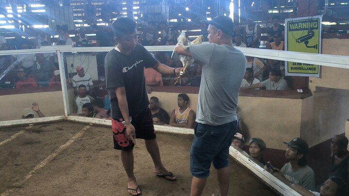 Win 2nd Fight!Super Lolo 4 yrs old panuksukan kanan ang tari namen