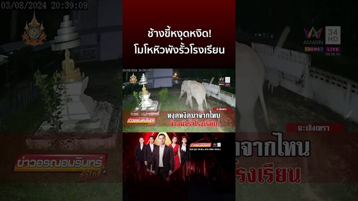 ช้างขี้หงุดหงิด! โมโหหิวบุกพังประตูรั้วโรงเรียน | ข่าวอรุณอมรินทร์