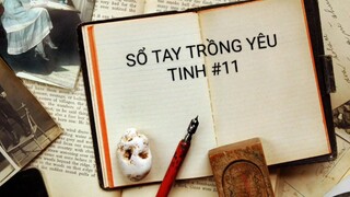 SỔ TAY TRỒNG YÊU TINH - TẬP 11/14