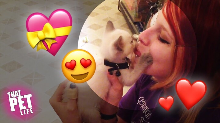 My Dog Is My Real True Love | Valentine's Day Pets