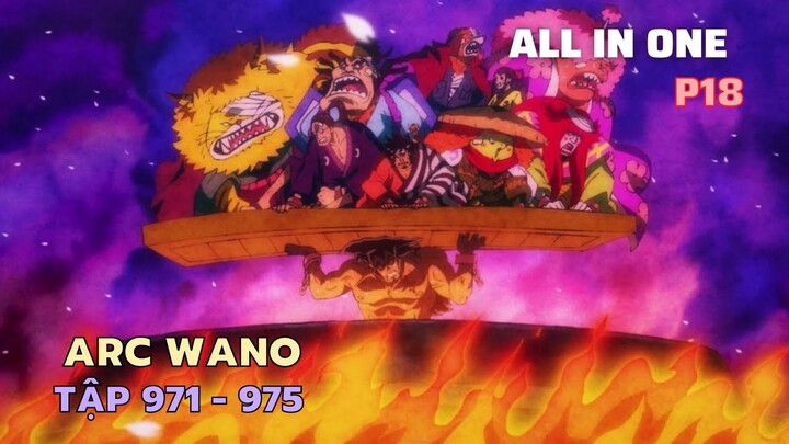 Review Phim One Piece SS20 - P18 ARC WANO | Tóm tắt Phim Đảo Hải Tặc Tập 971-972-973-947-975