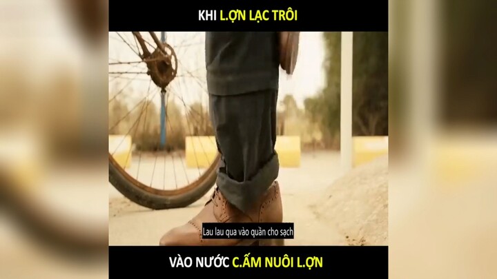 #Review Phim|Khi lợn lạc trôi vào nước cấm nuôi lợn p1