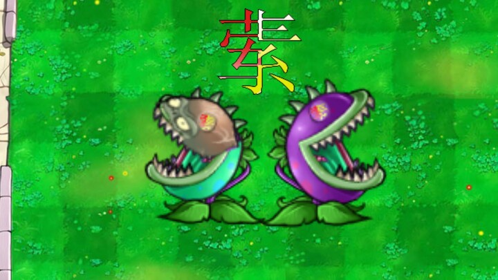 荤素搭配的均衡大嘴花