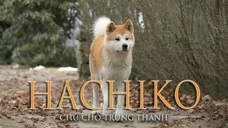 Chú chó trung thành đợi chủ 10 năm | Recap Xàm: Hachi: A Dog's Tale