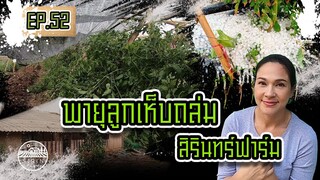 พายุลูกเห็บถล่มสิรินทร์ฟาร์ม - [สิรินทร์ฟาร์ม] EP.52