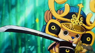 Robin vẫn yêu Chopper