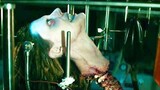 Loại Thuốc Biến Con Người Thành Zombie Bất Tử - Xác Sống | Overlord