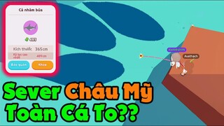 Play Together | Thử Sang "SEVER CHÂU MỸ" Câu Cá Và Cái Kết Khiến Nhiều Người Không Ngờ Tới