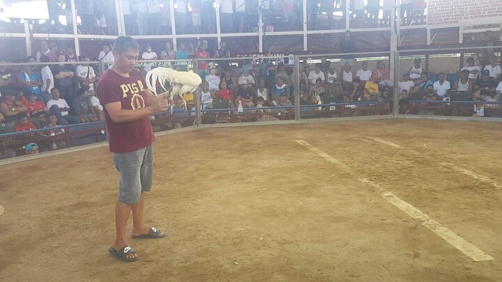 quezon cockpit arena white kelso vs binabae