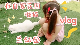 【兰幼金vlog】浇花/喂猫/漫展演出工作＋日常