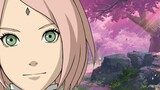 [Penjelasan detail tentang kekuatan Haruno Sakura] Apakah dia layak menjadi S-nin? Apakah kekuatanny