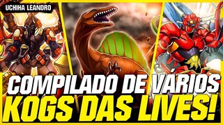 VÁRIOS KOGS INSANOS EM UM SÓ VÍDEO // YU-Gi-Oh! Duel Links