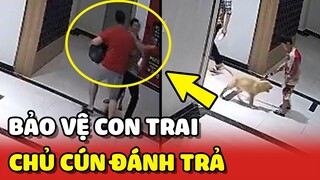 Bảo vệ con trai trước CHÓ THẢ RÔNG, ông bố bị chủ chó ĐÁNH TRẢ | Yêu Lu