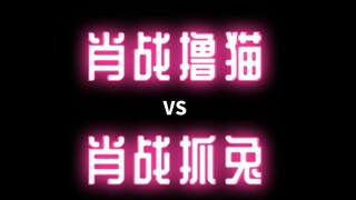 【肖战撸猫VS抓兔】，求兔子的心理阴影面积？