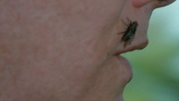 Tập 5 "X-Files" mùa 3, tử tù tái sinh sẽ mang theo ruồi mỗi khi xuất hiện