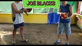 Joe blacks WPC1