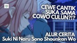 COWO CULUN DISUKAIN CEWE CANTIK?? - Alur Cerita Anime The Moment You Fall In Love