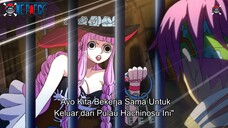 Perona Akan Membebaskan Garp di Pulau Hachinosu???