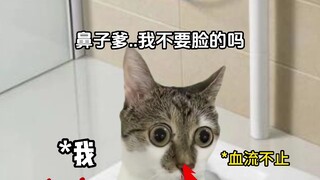 老板好像已经接受现实了捏...