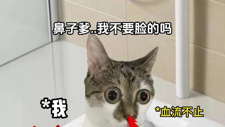 老板好像已经接受现实了捏...