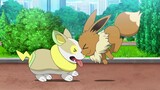 Pertemuan pertama yang menentukan antara Eevee dan Chloe|<Pokémon>
