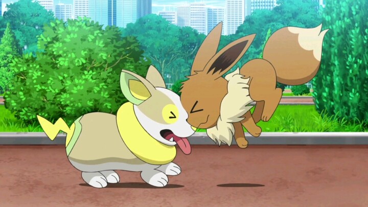 Pertemuan pertama yang menentukan antara Eevee dan Chloe|<Pokémon>