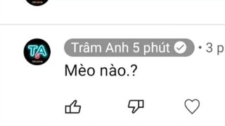 me: trần anh thi