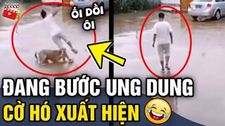 Tin 3 Phút Hài | Tổng hợp tình huống 'HÀI ĐỘNG VẬT' không cười không lấy tiền P16