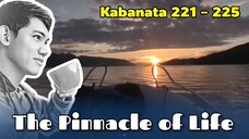 The Pinnacle of Life / Kabanata 221 - 225