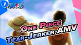 One Piece
Tear-Jerker AMV_1