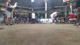 Puti vs talisayin walang sugat ulit pang 3 panalo na.