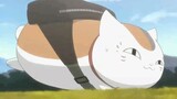 [ Natsume's Book of Friends ] The cute cat teacher wearing a backpack!!!
