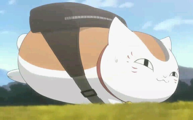 [Natsume Yuujinchou Roku] Guru kucing lucu yang memakai ransel!!!