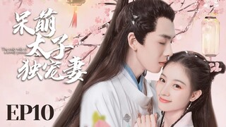 MUTLISUB【呆萌太子独宠妻 cute prince 】▶EP 10 💋豪门傻少爷强取江湖女骗子，一夜逆袭成少奶奶🤳呆萌少爷白天奶狗晚上狼狗让人欲罢不能💐#朱丽岚# 黄天崎# 【尘缘】❤️追剧迷