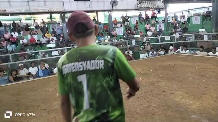 1ST FIGHT ELEM.WIN 4BULLSTAG/COCK SAULOG DERBY2025 ENRY:CAMBANAY 127 @SEGUNDO COCKPIT ARENA