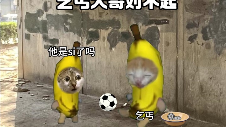 大哥对不起