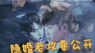 ［战山为王］协议婚姻  隐婚老攻要公开  一发完