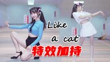【炫光特效】小野猫❤小奶猫 都太致命~喵~猫步轻俏~