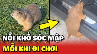 Chú Sóc được Sen chở đi chơi nhưng mỗi lần về thì lạ lắm 😂 | Yêu Lu